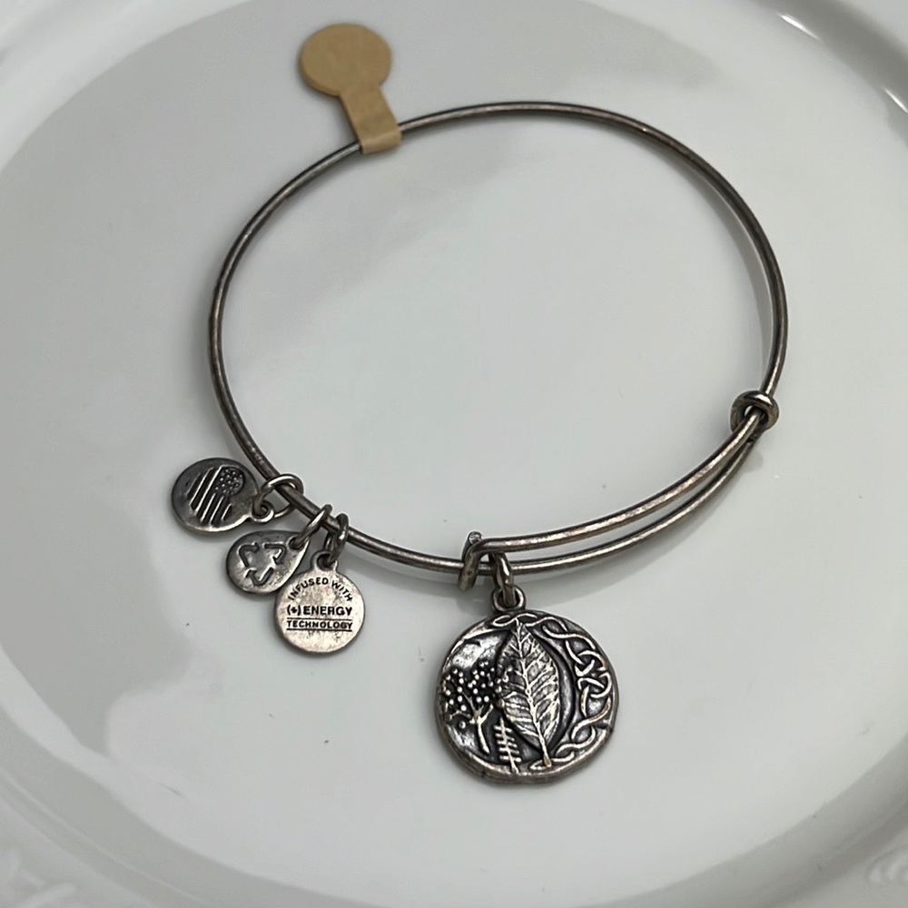 Alex and Ani Rafaleian Silver Edler Bracelet